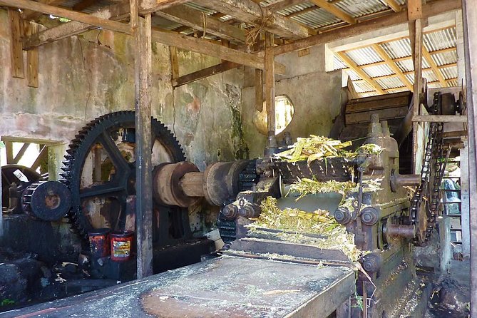 Full-Day Tour: Concord Waterfall, Chocolate Factory, Rum Distillery, Grand Etang - Who should book this Grenada tour?