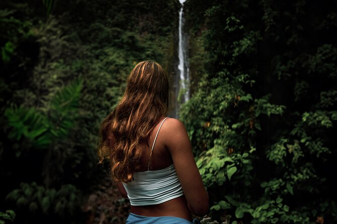 Full Day Tour of Guadeloupe - Key things to know before booking