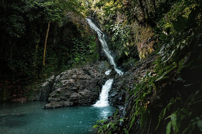 Full Day Tour of Guadeloupe - Black sand, royal palms, and volcanic character