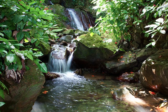 Full-Day Zipline and Waterfall Rappelling Adventure Near San Juan - Safety, weather, and physical limits