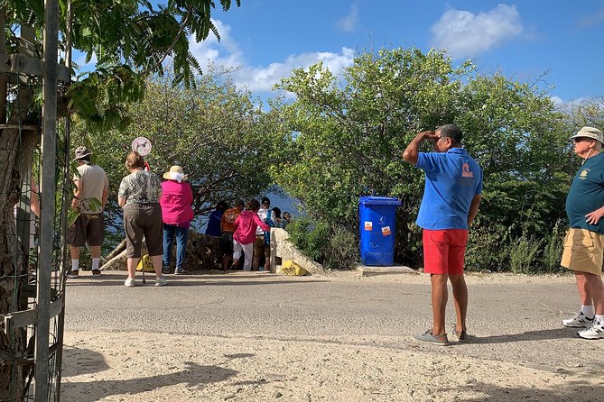 Fully Private North and South Tour with a Local Guide. - Te Amo, Bachelor’s, and the southern coast