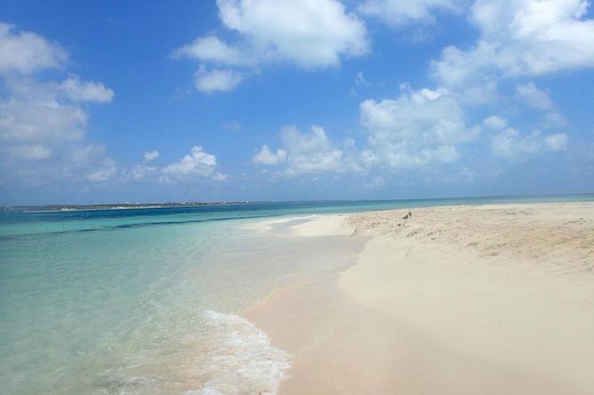 Gibbs Cay Stingray and Conch Dive Adventure - Who should book this excursion?