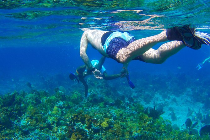 Glass Bottom Boat Ride/Snorkeling/Booby Cay Island from Negril - Starting from Margaritaville Negril at 9 a.m.