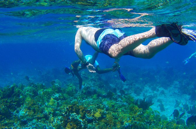 Glass Bottom Boat Ride/Snorkeling/Booby Cay Island from Negril - What the $65 price really covers