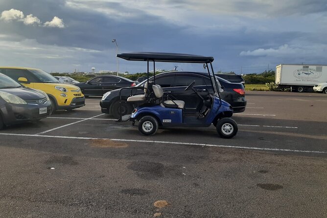 Golf Cart Adventure MaxKart Auto Rentals - Who Will Enjoy This and Who Should Think Twice