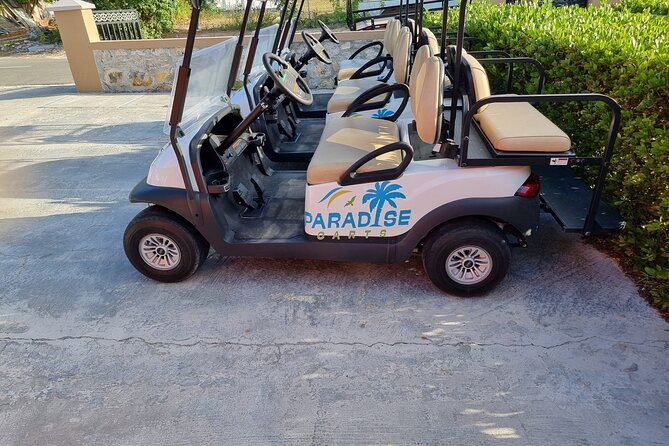 Golf Cart Rental in Grand Turk (4-seater) - Key points to know before you book