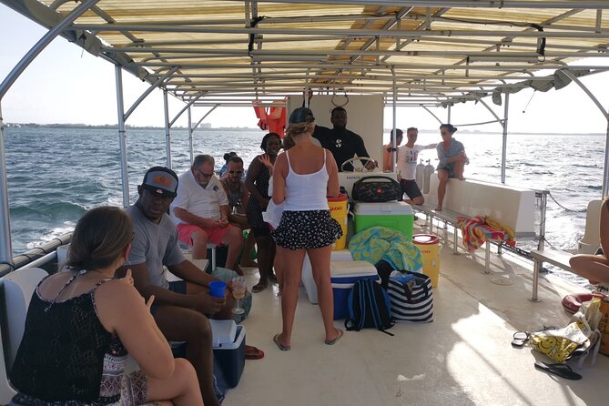 Grand Cayman - Bioluminescent Bay Tour - Key points to know before you book