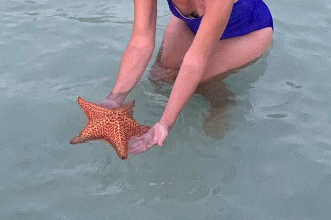 Grand Cayman - Bioluminescent Bay Tour - Why the glowing water is the main event