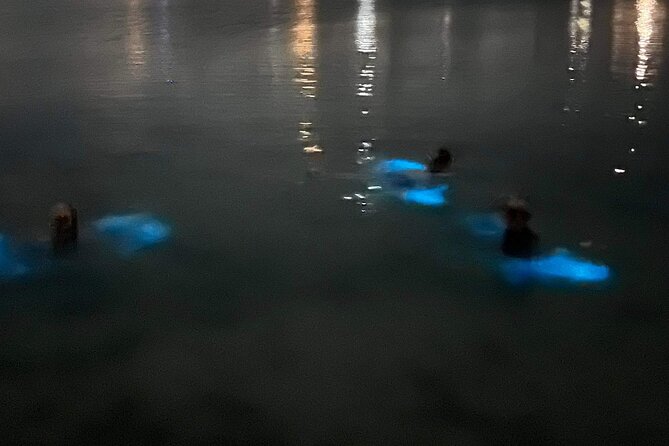 Grand Cayman - Bioluminescent Bay Tour - Guides, safety, and the feel onboard