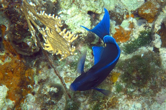 Grand Turk - Amazing Wall Snorkeling Tour - Getting fitted for the boat and gear