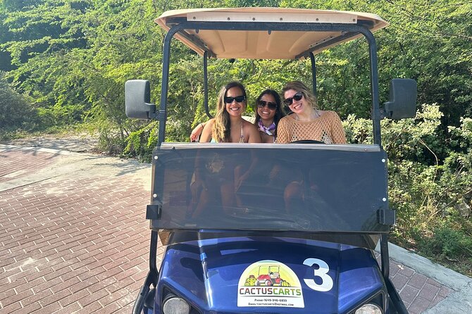Grand Turk Golf Cart Rentals (CACTUS CARTS) - Donkeys, Cockburn Town, and local food