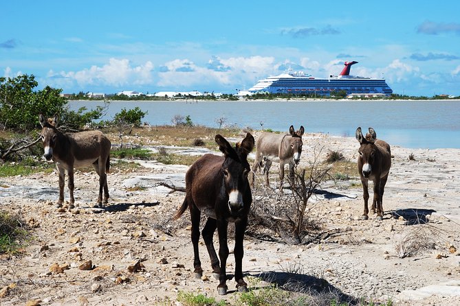 Grand Turk Historical Sightseeing Tour by Tram - Key points to know before booking