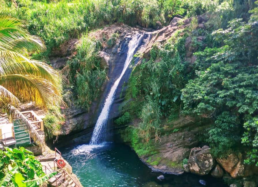 Grenada: Culture and Nature Island Tour with Chocolate & Rum - A six-hour introduction to Grenada