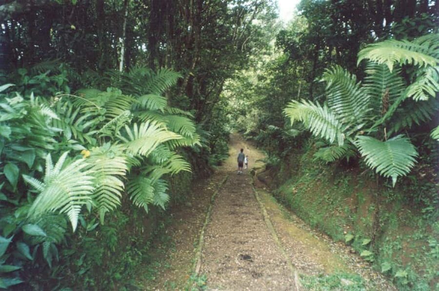 Grenada: Culture and Nature Island Tour with Chocolate & Rum - Rum tasting and possible schedule changes