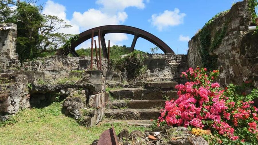 Grenada: Culture and Nature Island Tour with Chocolate & Rum - Comfort, accessibility, and what to pack