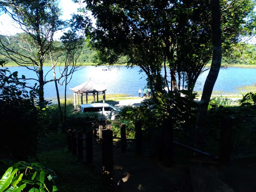 Grenada: Half-Day Island Tour with Waterfall Swim Stop - Annandale Falls: the tour’s most refreshing stop
