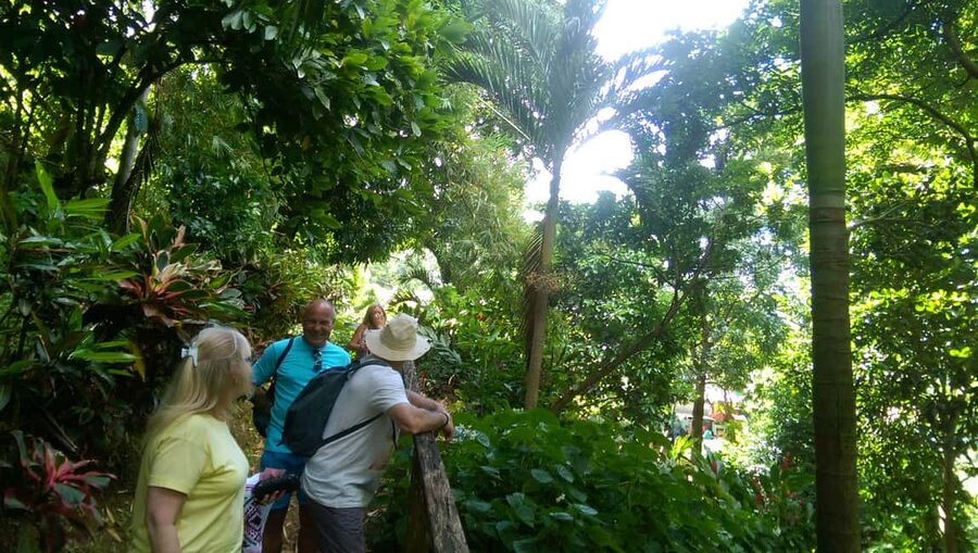 Grenada: Half-Day Island Tour with Waterfall Swim Stop - Morne Rouge Beach and the lunch tradeoff
