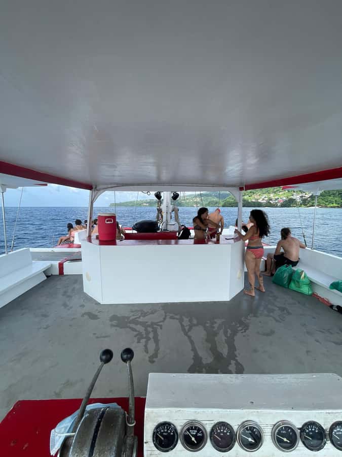 Grenada: Sailing and Snorkeling To the Underwater Sculpture - A second swim at Flamingo Bay