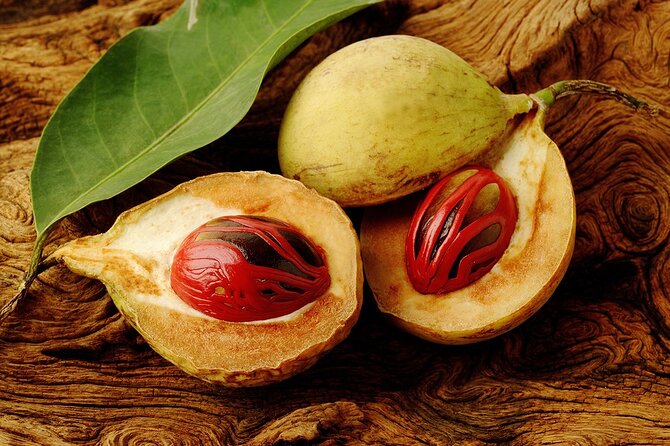 Grenada Spice Gardens, Rum & Chocolate Tour (Full/Half Day) - A flavorful introduction to Grenada in five or six hours