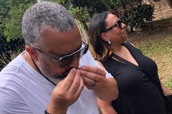 Grenada Spice Gardens, Rum & Chocolate Tour (Full/Half Day) - Annandale Falls and a cool finish