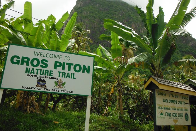 Gros Piton Hike with Dannyboy & Co. - Should you book Gros Piton with Dannyboy and Co.?