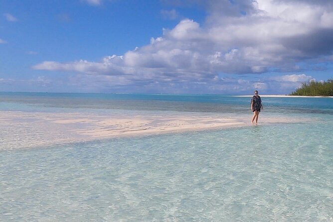 Group Reef, Beach and Sandbar Tour from Providenciales - Reef snorkeling, with realistic expectations