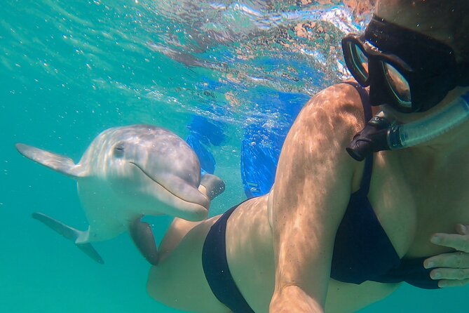 Group Reef, Beach and Sandbar Tour from Providenciales - Half Moon Bay and the rock iguanas