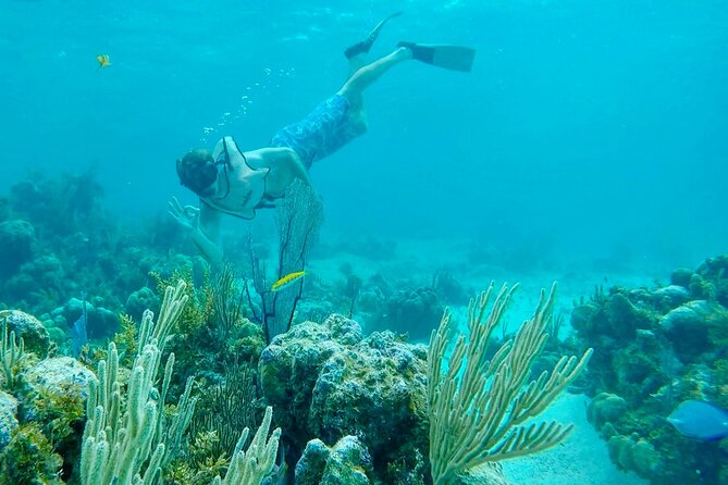 Group Reef, Beach and Sandbar Tour from Providenciales - Sand Dollar Cove and Pine Cay’s sandbar
