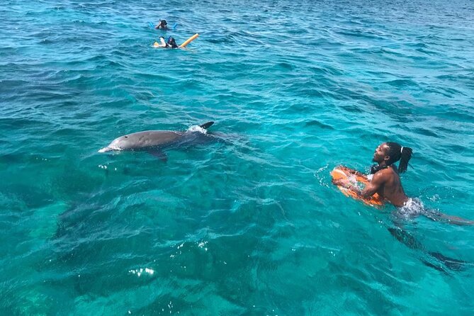 Group Reef, Beach and Sandbar Tour from Providenciales - Lunch, drinks, and the ride back