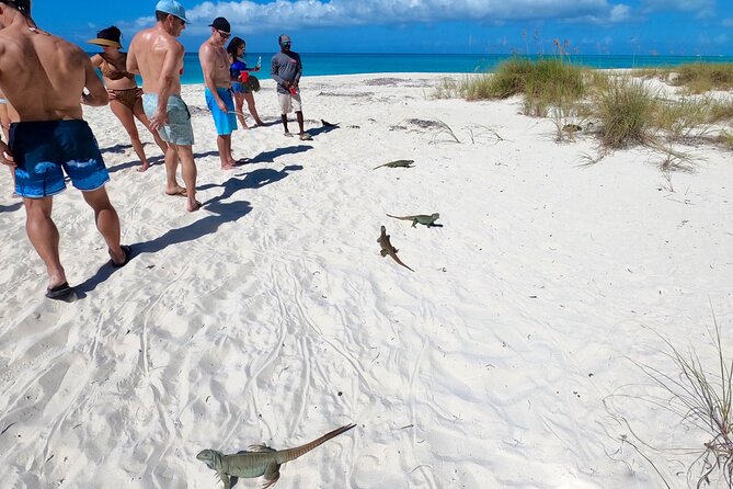 Group Reef, Beach and Sandbar Tour from Providenciales - Who should book this excursion