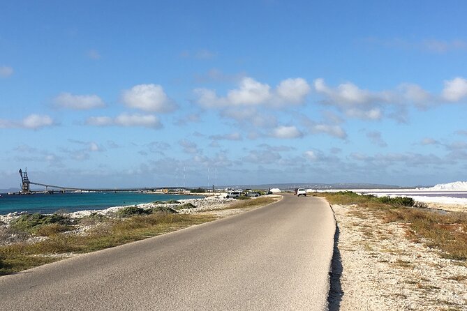 Guided Bonaire North and South Tour - Gotomeer and the flamingo country