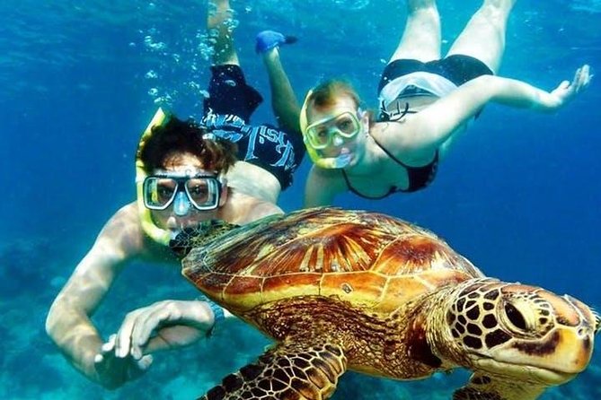 Guided Coral Reef Snorkeling Tour - Tres Palmas coral and marine life
