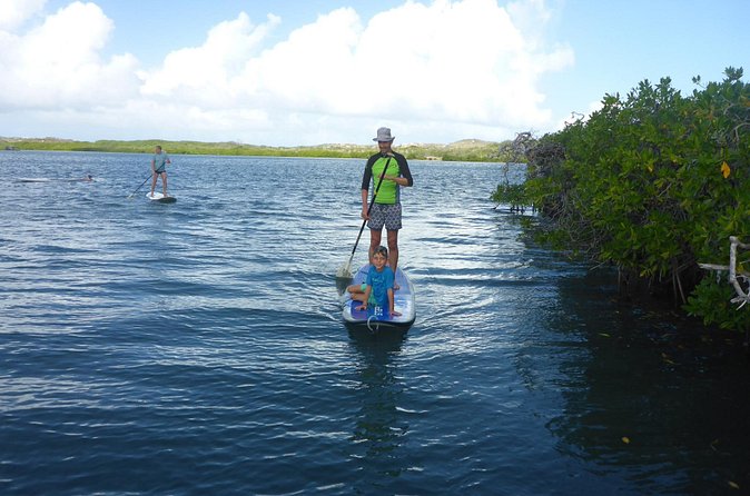Guided paddleboarding (SUP) mangrove ECO tour for beginners - Why the guide makes a difference