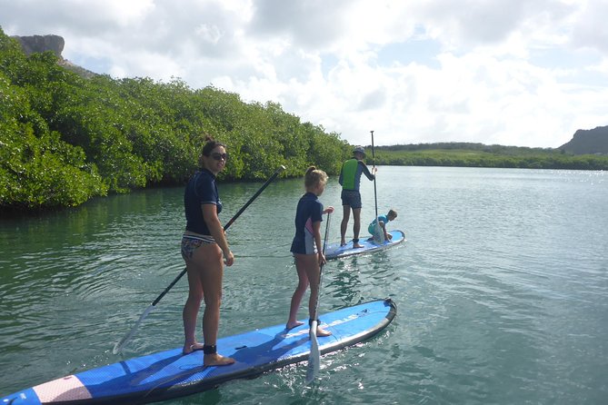 Guided paddleboarding (SUP) mangrove ECO tour for beginners - What the $65 price includes