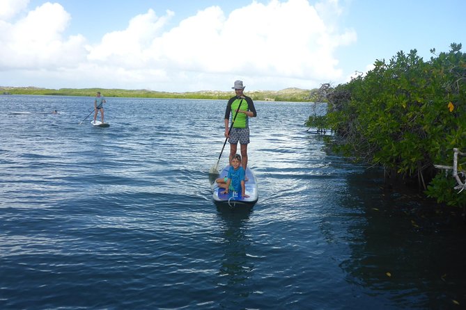 Guided paddleboarding (SUP) mangrove ECO tour for beginners - Who will enjoy this SUP trip