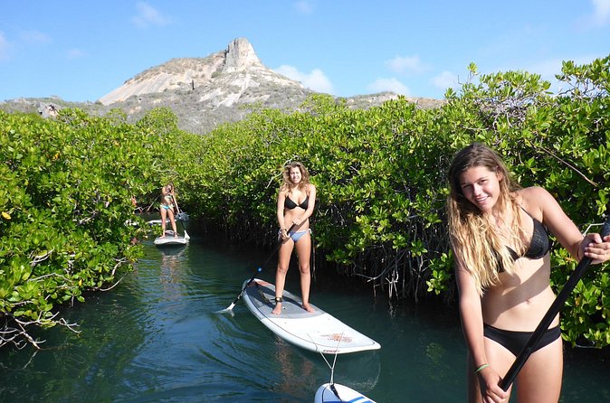 Guided paddleboarding (SUP) mangrove ECO tour for beginners - Small details that improve the day