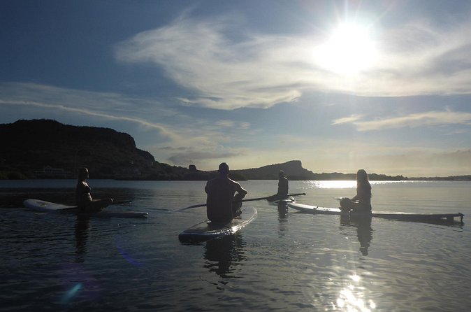 Guided paddleboarding (SUP) mangrove ECO tour for beginners - My call: book it if you want an active Curacao morning