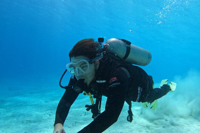 Guided Padi Discover Scuba Diving for Non-Certified Divers - Key points at a glance