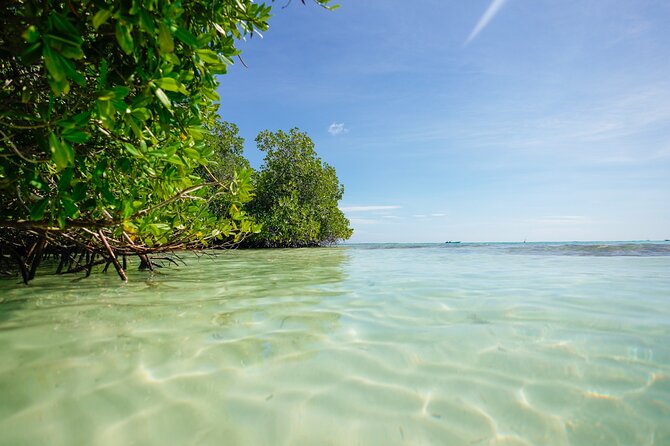 Guided Padi Discover Scuba Diving for Non-Certified Divers - The shallow-water practice that sets the tone