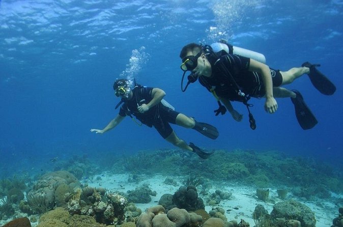 Guided Shore Dive for Certified Divers with Scubaçao (1 tank) - What the shore entry means for you