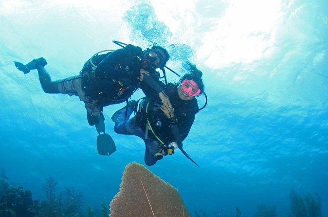 Guided Shore Dive for Certified Divers with Scubaçao (1 tank) - Underwater time with room for personal attention