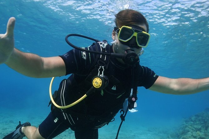 Guided Shore Dive for Certified Divers with Scubaçao (1 tank) - Handling seasickness, nerves, and changing plans