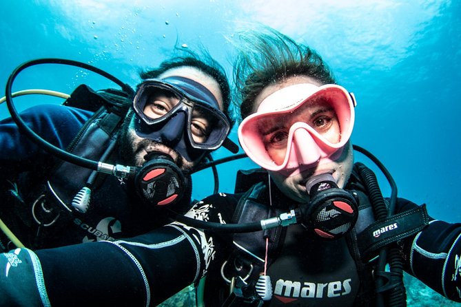 Guided Shore Dive for Certified Divers with Scubaçao (2 tank) - Free photos, with realistic expectations