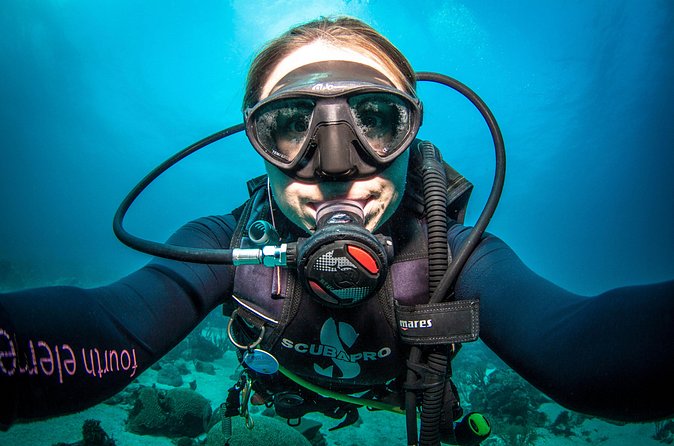 Guided Shore Dive for Certified Divers with Scubaçao (2 tank) - Price and practical value at $155