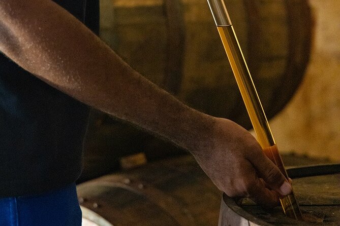 Guided tour with tasting of the Distillery Bonne Mère - Inside the distillation museum