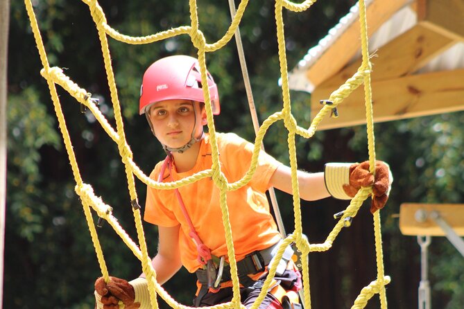 Gully Challenge Course & Cave Tour at Harrison's Cave by Chukka - Harrison’s Cave by electric tram