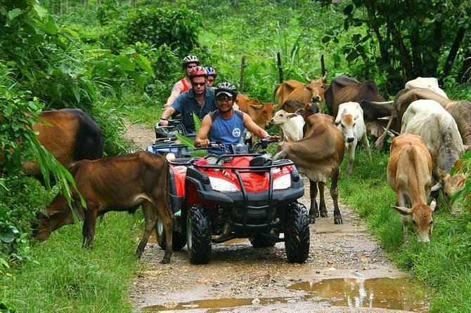 Half-Day Adventure 4x4 ATV, Water Cave and Dominican Culture - Coffee, chocolate, rum, and the sales stop