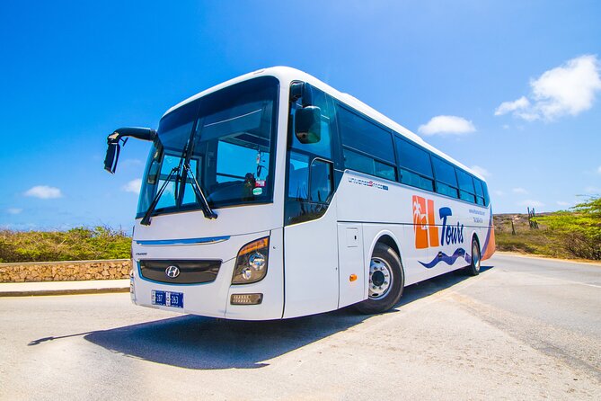 Half-Day Aruba Animal Sanctuary Guided Tour - The air-conditioning question matters in Aruba