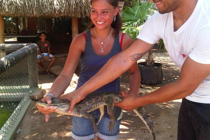 Half-Day Aruba Animal Sanctuary Guided Tour - Aruba Ostrich Farm: one hour with the big birds