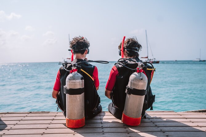 Half-Day Aruba Intro Diving Course for Beginners - What the 30 to 40 minute underwater session feels like